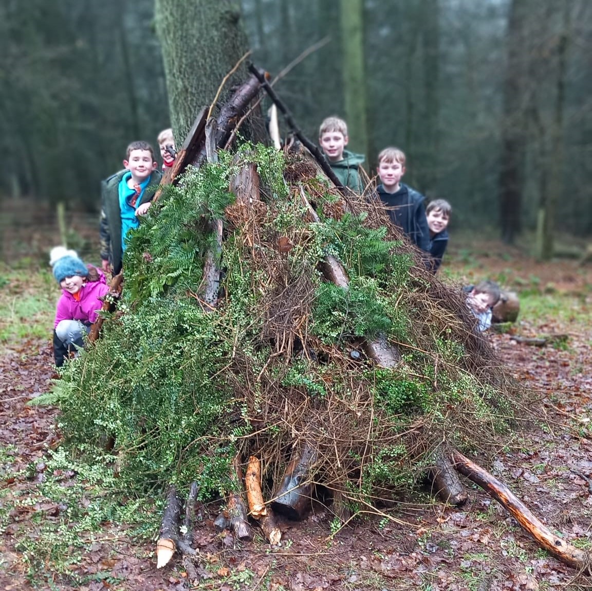 Clent Hill walk 2024 – Blackroot cubs